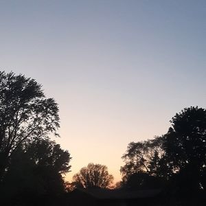 Meet your Posher, Addison